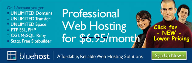 Professional web hosting by bluehost.com
